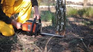 How Our Tree Care Process Works  in  Fairplay, GA